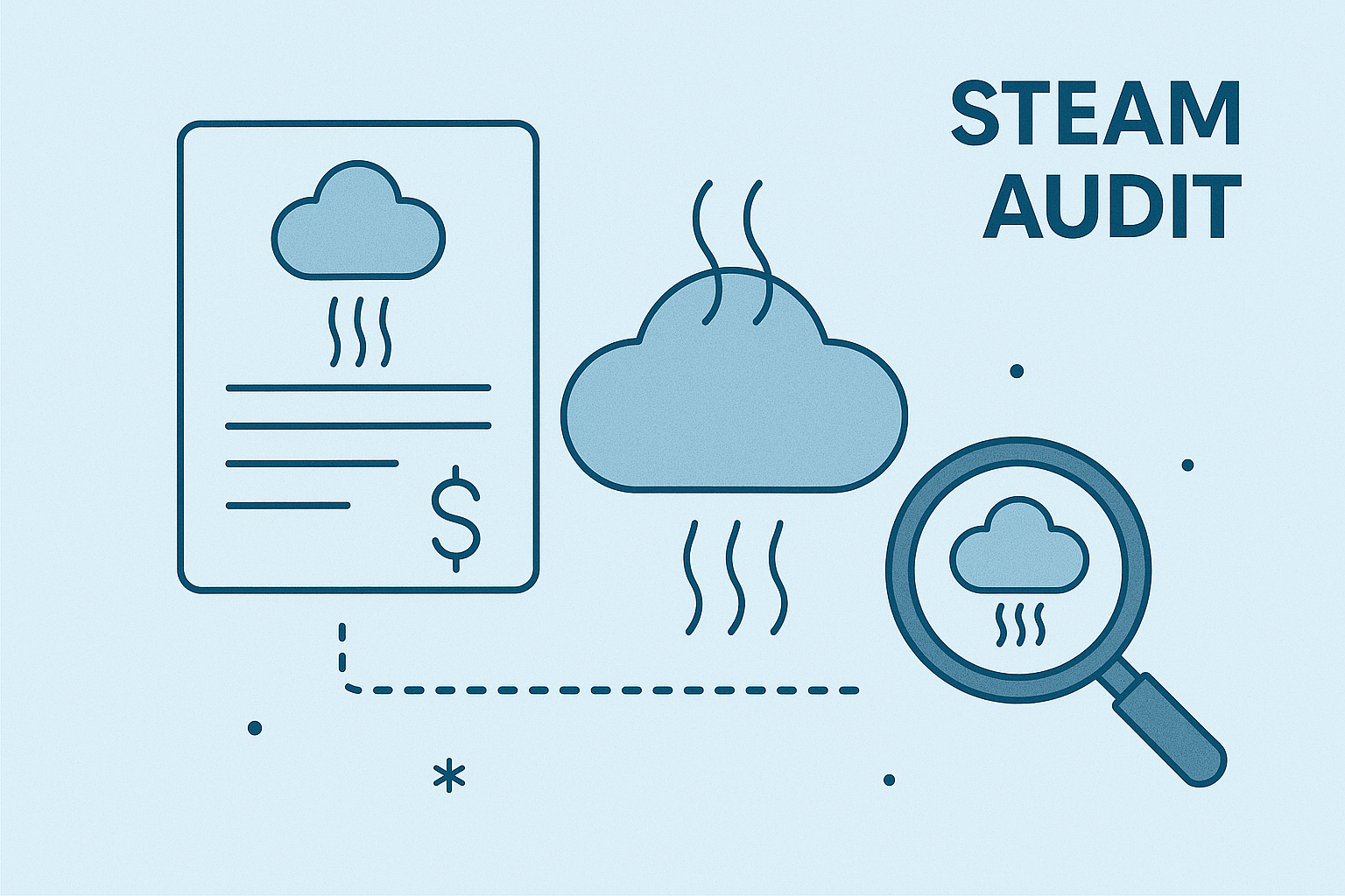 Steam Audit